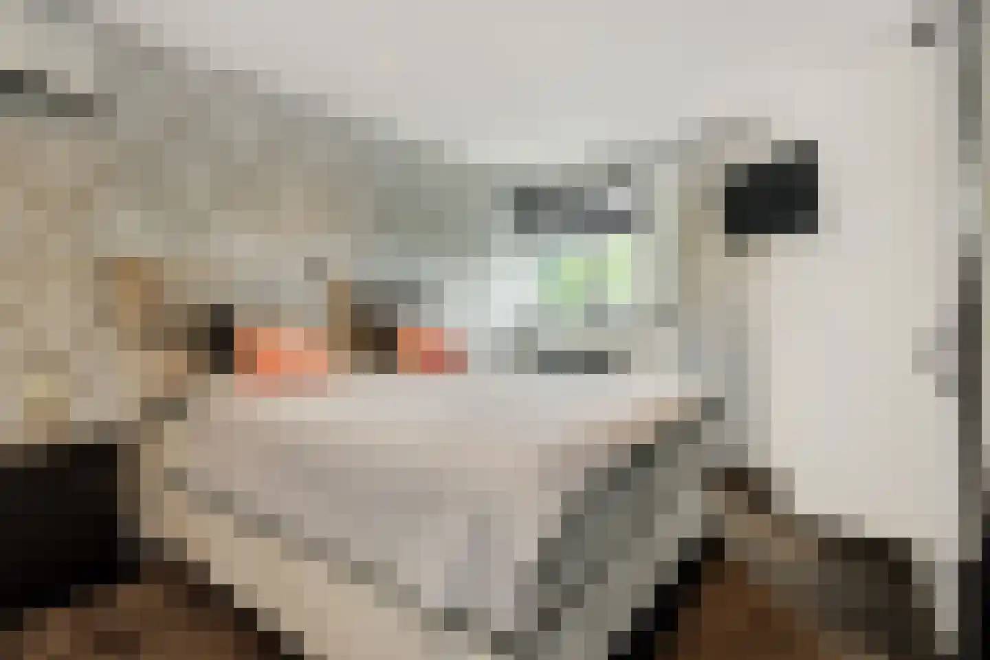 Maassingel 16 's-Hertogenbosch thumbnail 11