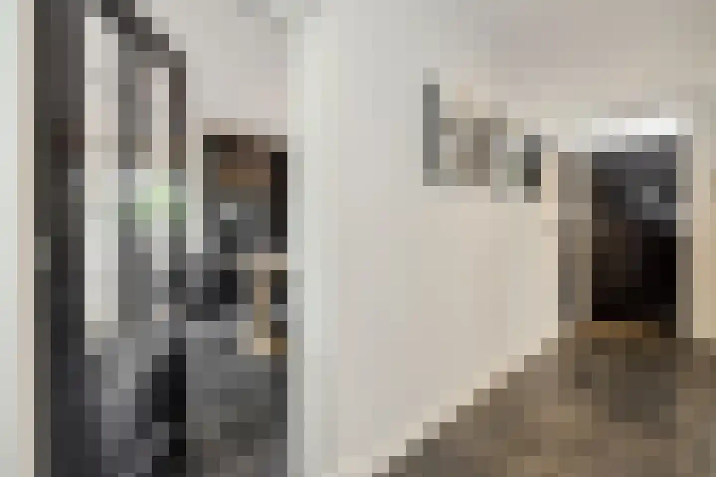 Maassingel 16 's-Hertogenbosch thumbnail 12