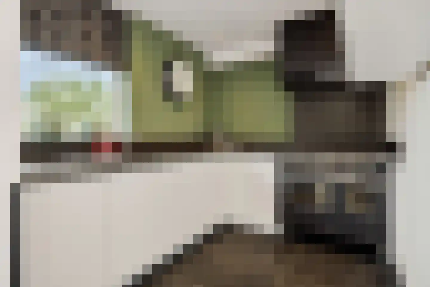 Maassingel 16 's-Hertogenbosch thumbnail 13