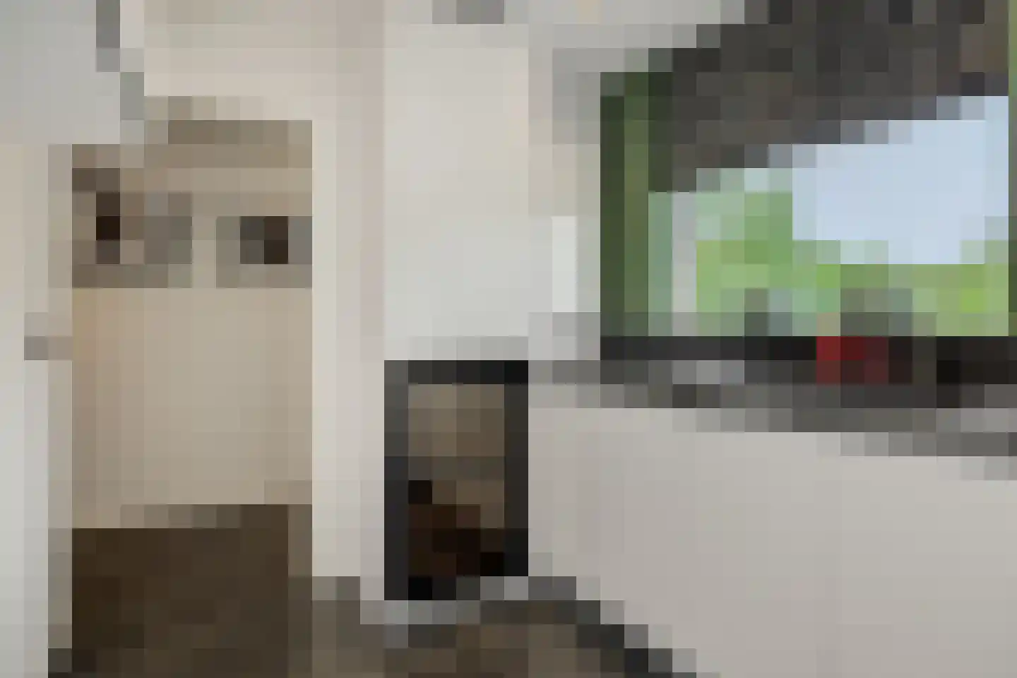 Maassingel 16 's-Hertogenbosch thumbnail 14