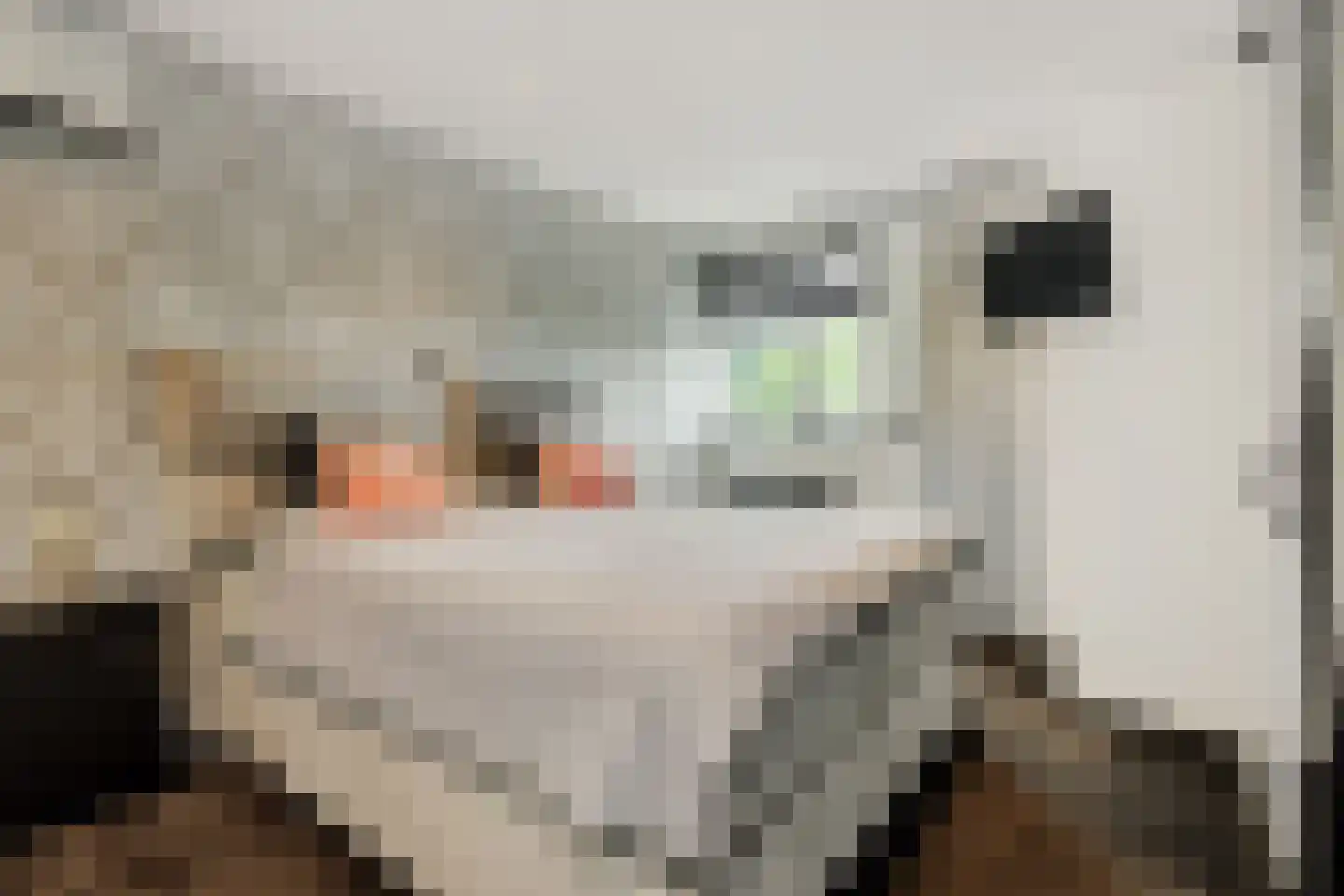 Maassingel 16 's-Hertogenbosch thumbnail 15