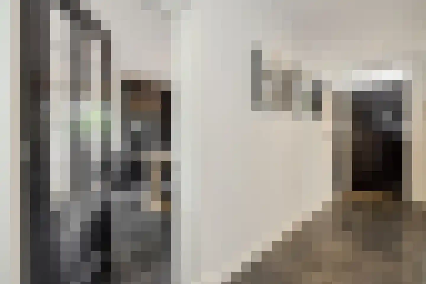 Maassingel 16 's-Hertogenbosch thumbnail 17