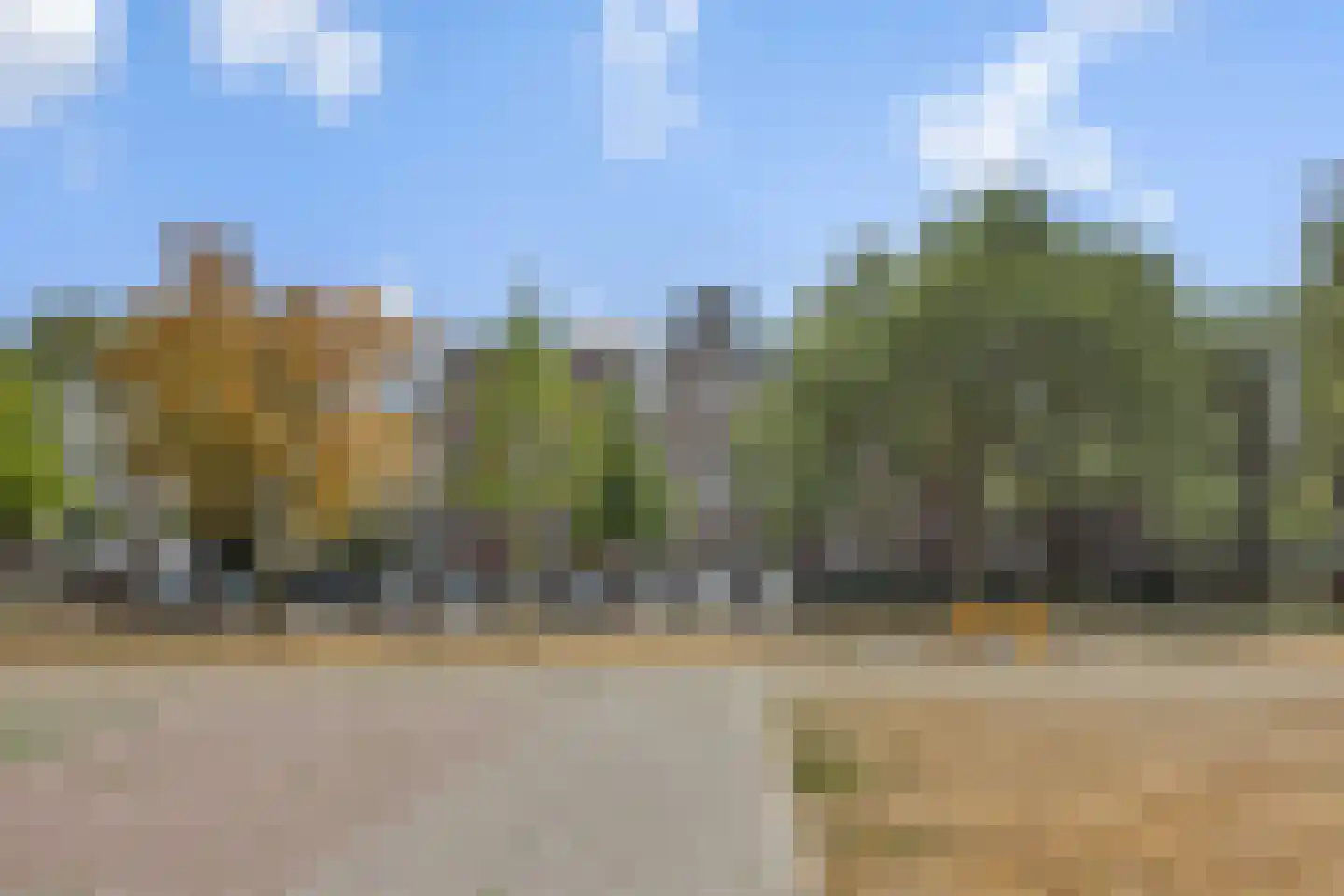 Maassingel 16 's-Hertogenbosch thumbnail 23