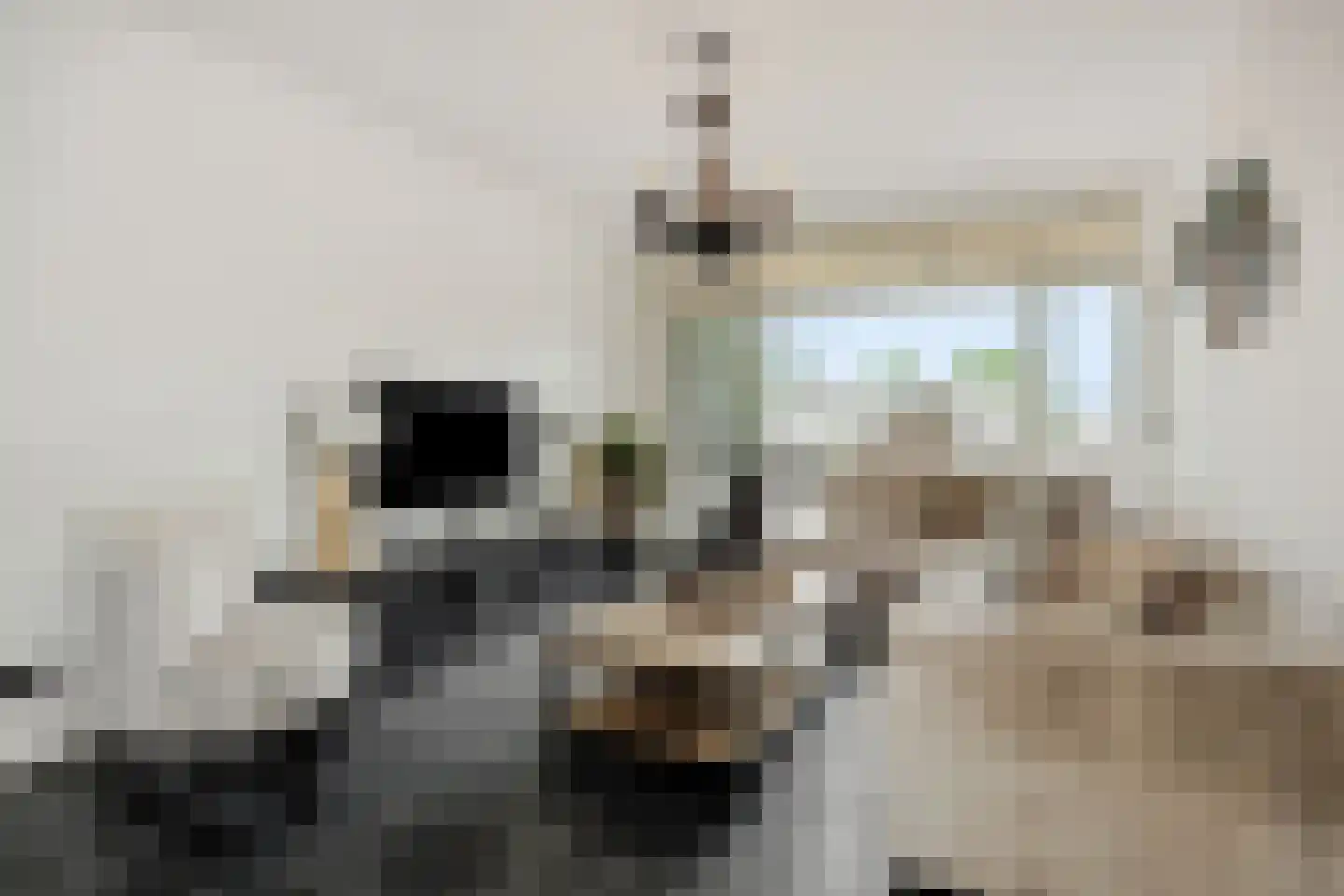 Maassingel 16 's-Hertogenbosch thumbnail 6