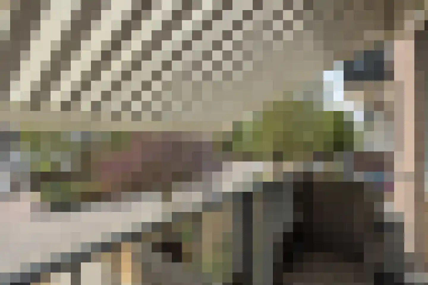 Maassingel 16 's-Hertogenbosch thumbnail 8