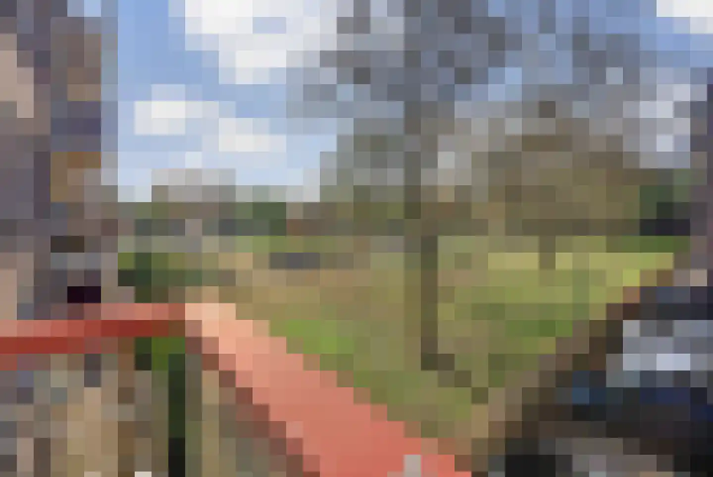 Maassingel 160 's-Hertogenbosch thumbnail 28
