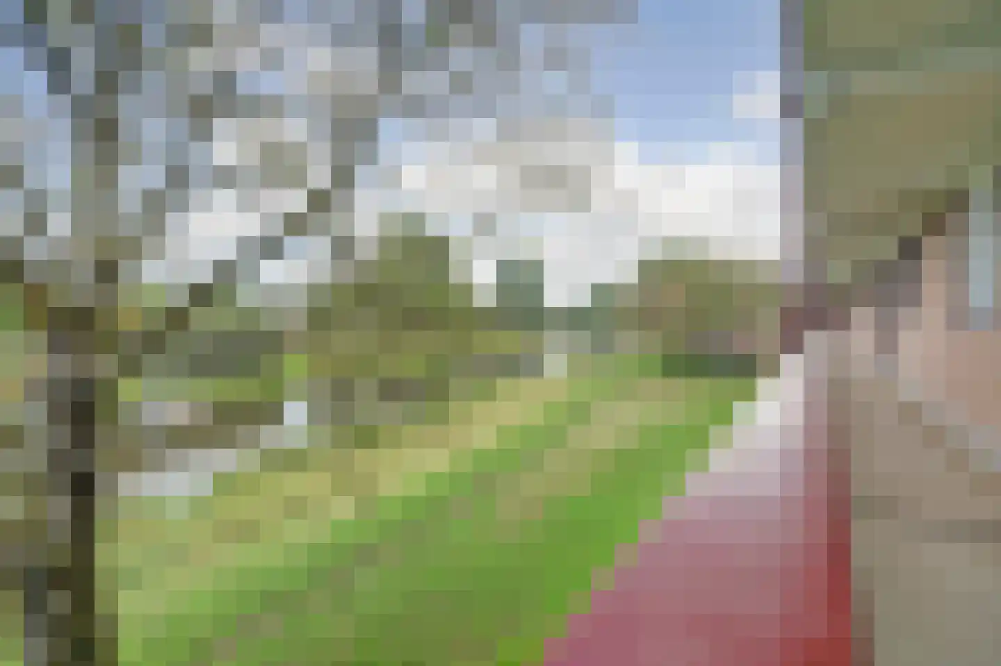 Maassingel 160 's-Hertogenbosch thumbnail 30
