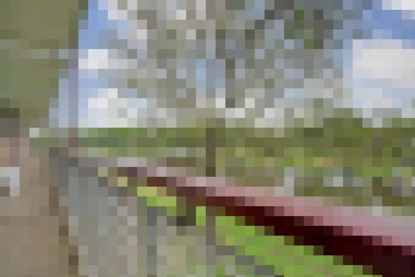 Maassingel 160 's-Hertogenbosch thumbnail 31