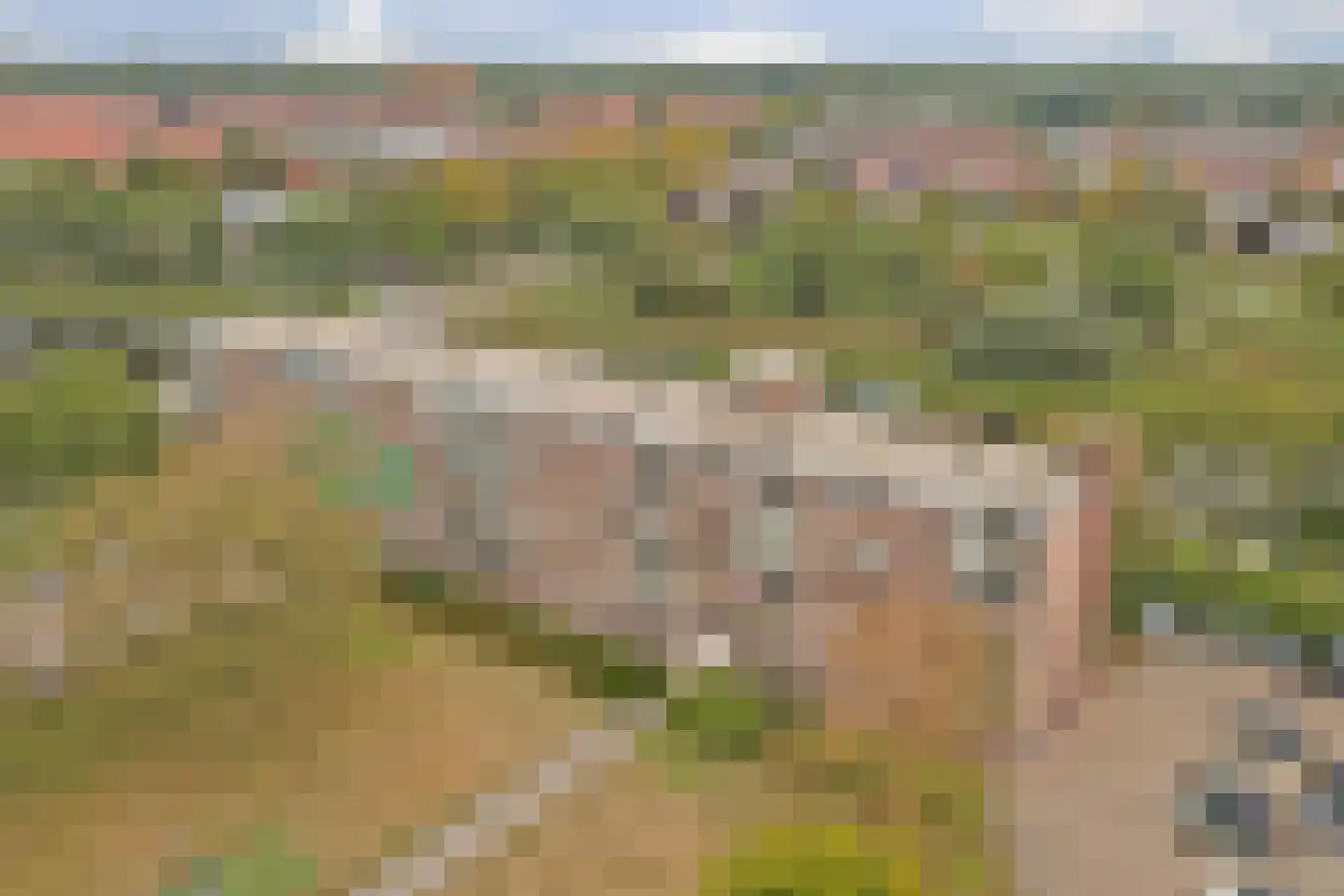 Maassingel 160 's-Hertogenbosch thumbnail 4