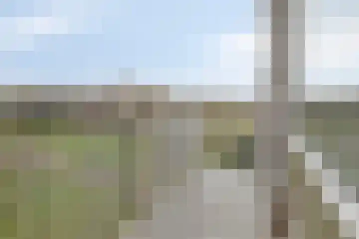 Maassingel 182 's-Hertogenbosch thumbnail 5
