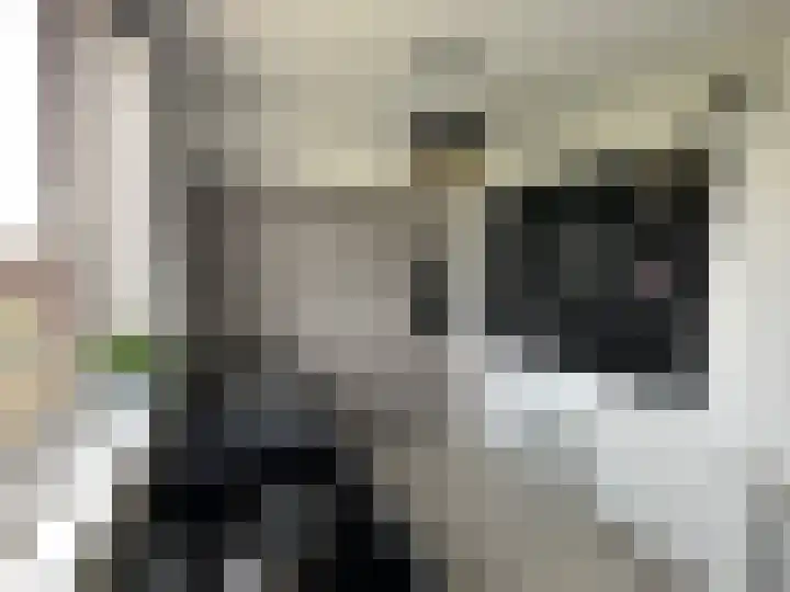 Maassingel 184 's-Hertogenbosch thumbnail 13