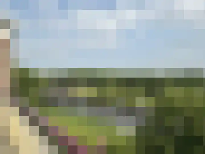 Maassingel 184 's-Hertogenbosch thumbnail 23