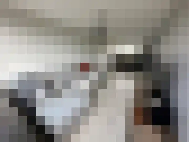 Maassingel 184 's-Hertogenbosch thumbnail 4