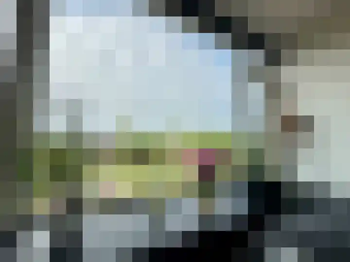 Maassingel 184 's-Hertogenbosch thumbnail 5