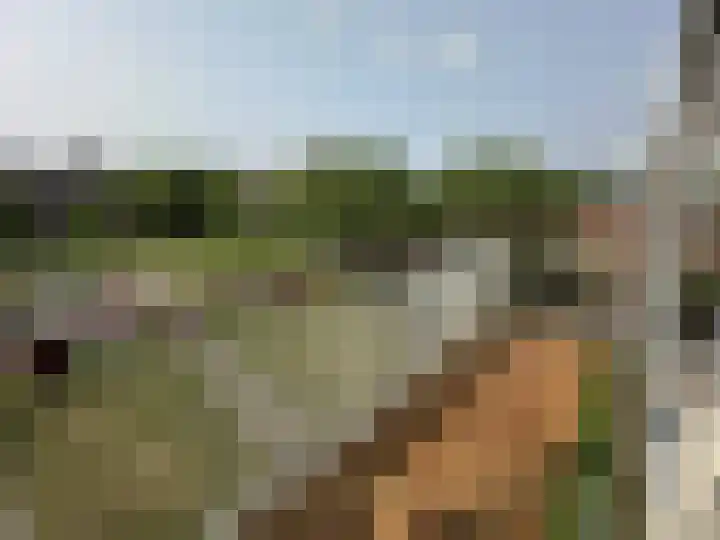 Maassingel 184 's-Hertogenbosch thumbnail 6