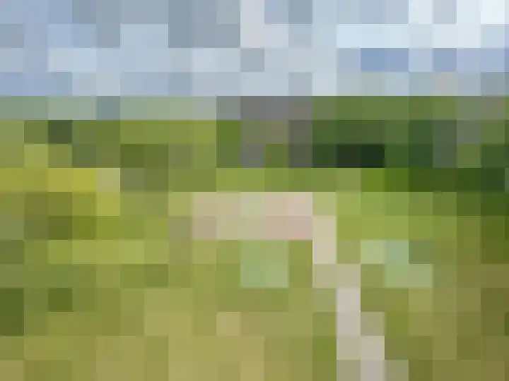 Maassingel 184 's-Hertogenbosch thumbnail 7
