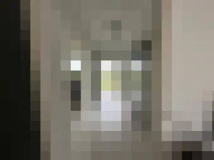 Maassingel 184 's-Hertogenbosch thumbnail 8