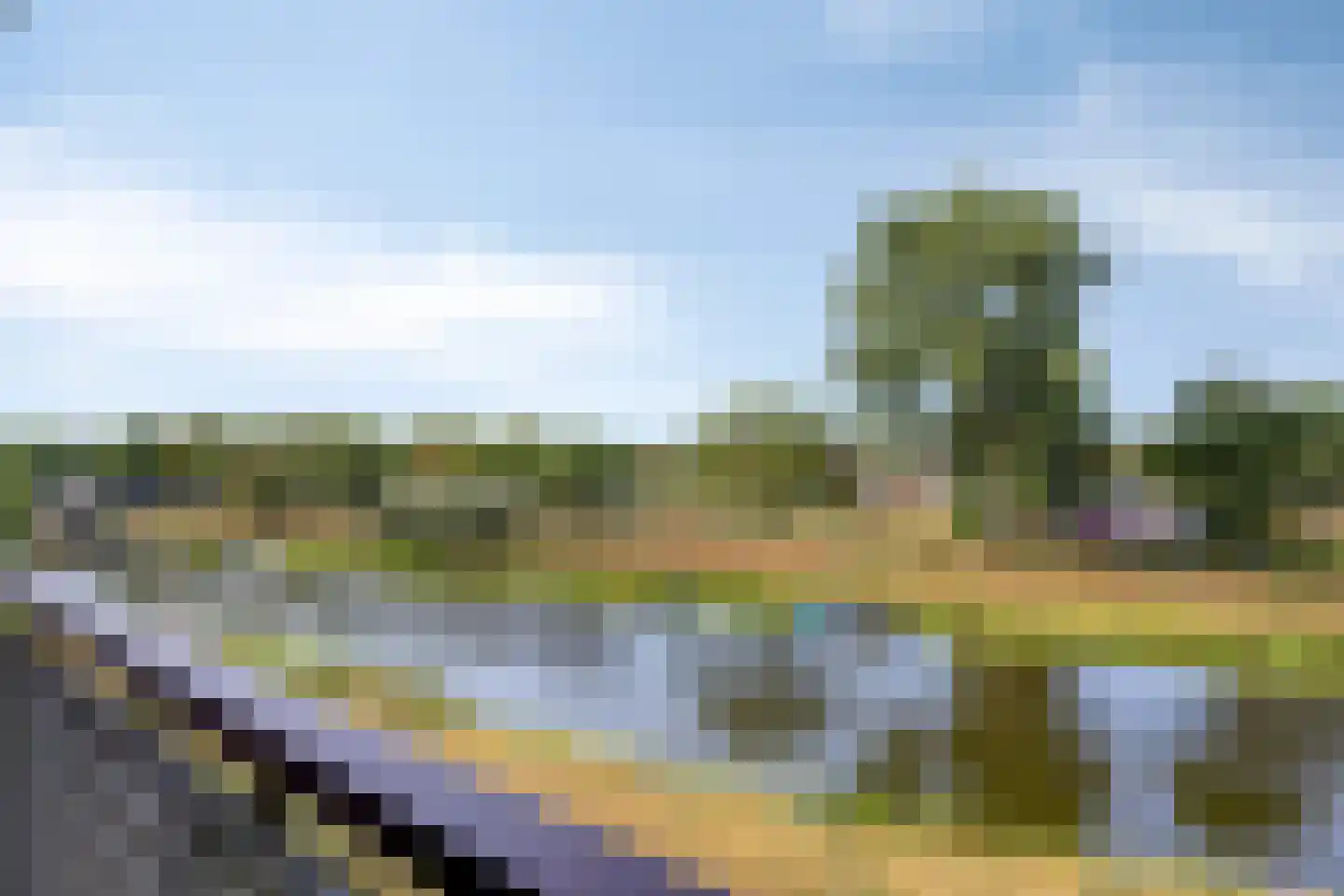 Maassingel 234 's-Hertogenbosch thumbnail 12