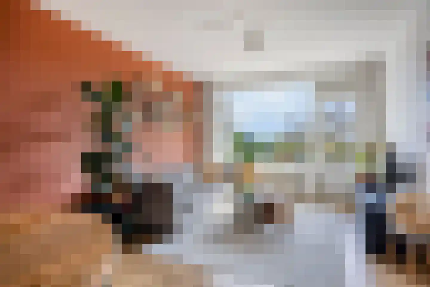 Maassingel 234 's-Hertogenbosch thumbnail 16