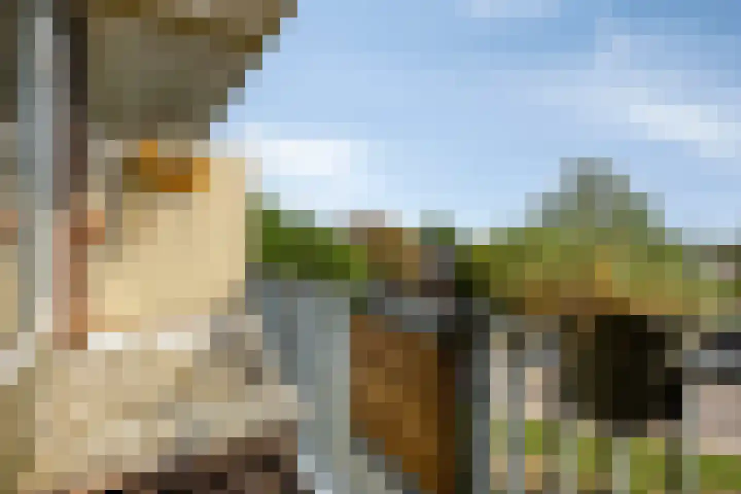 Maassingel 234 's-Hertogenbosch thumbnail 18