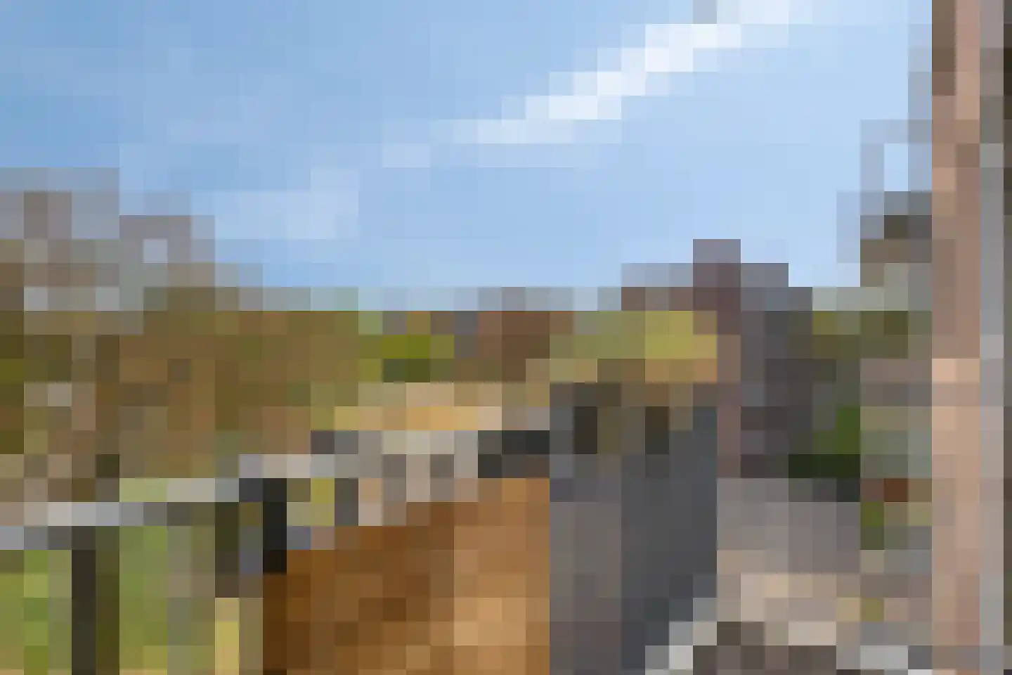 Maassingel 234 's-Hertogenbosch thumbnail 19