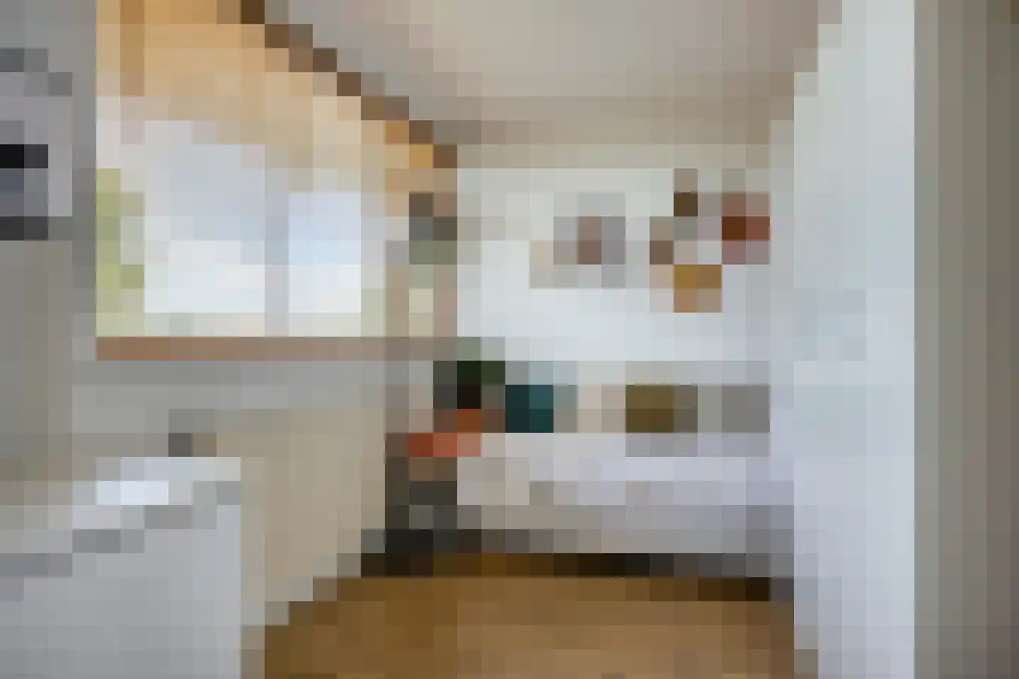 Maassingel 234 's-Hertogenbosch thumbnail 26