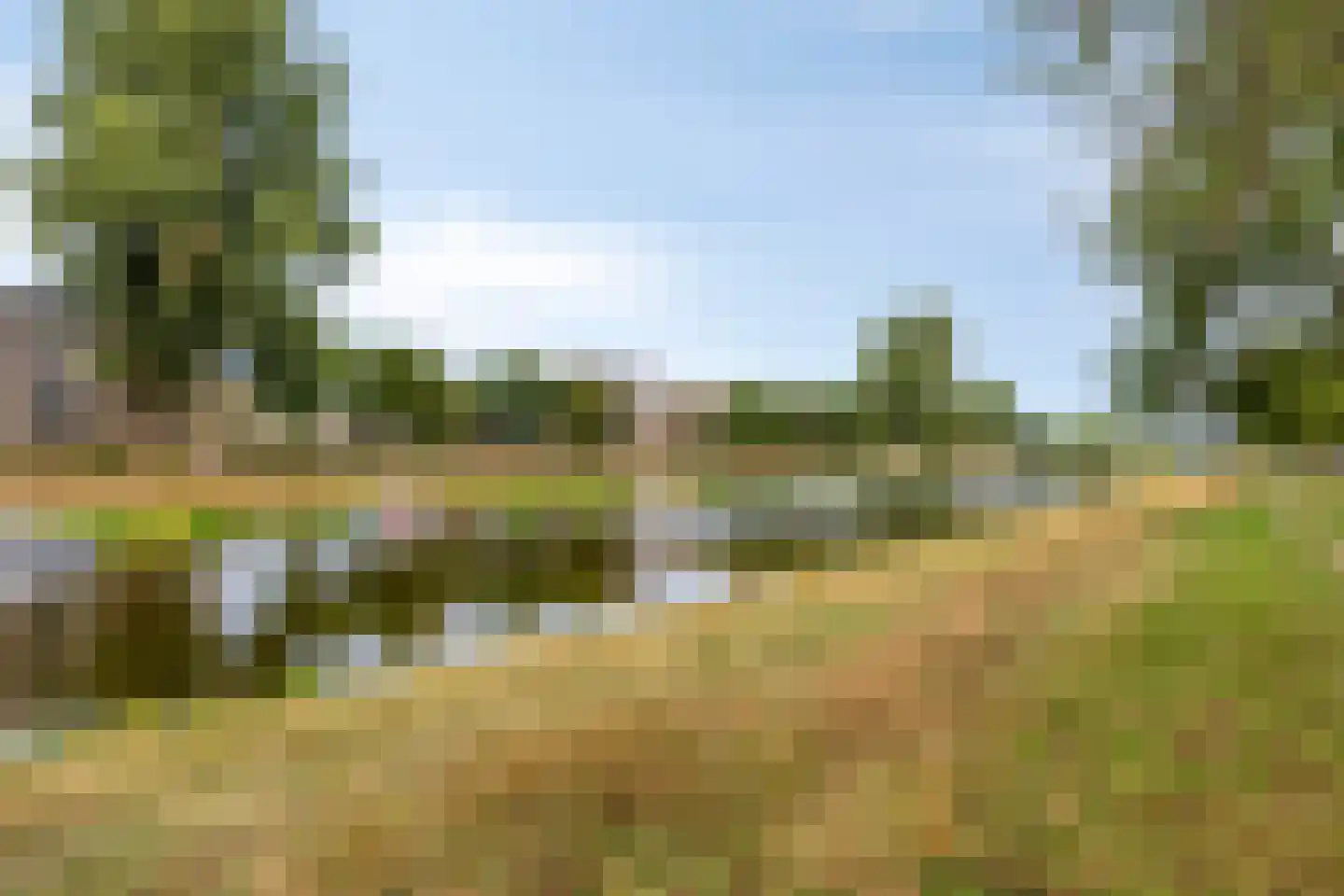 Maassingel 234 's-Hertogenbosch thumbnail 33