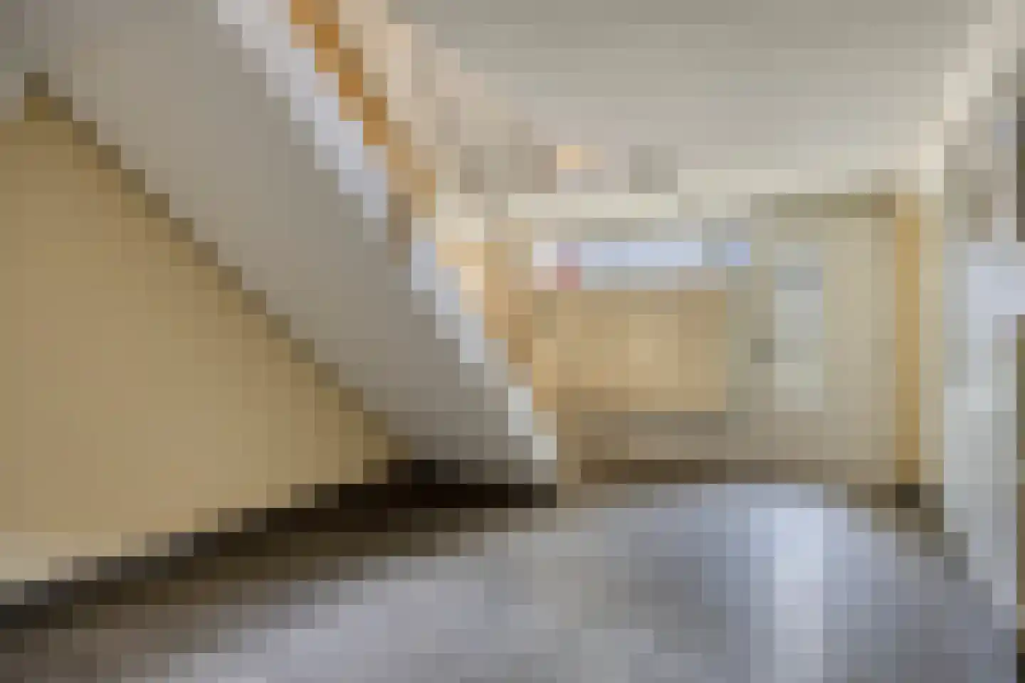 Maassingel 234 's-Hertogenbosch thumbnail 9