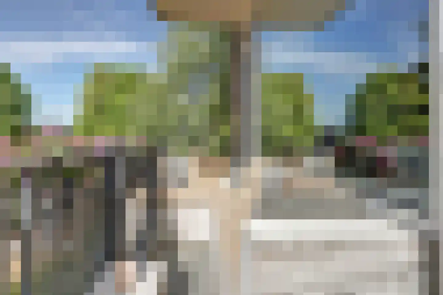 Maassingel 24 's-Hertogenbosch thumbnail 10