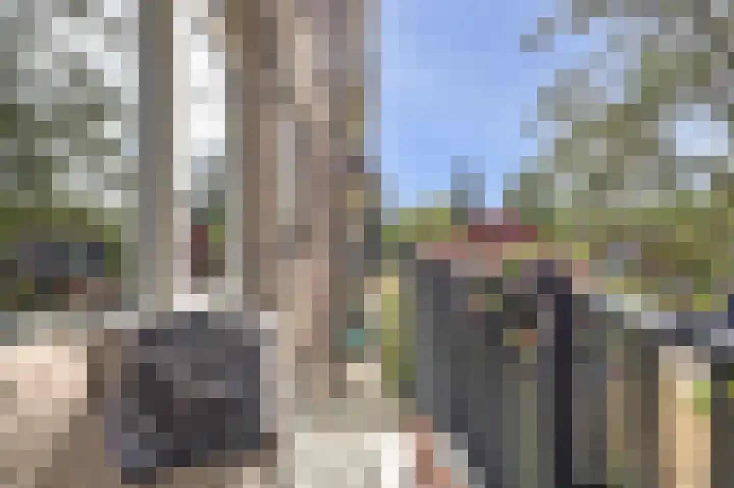 Maassingel 24 's-Hertogenbosch thumbnail 11
