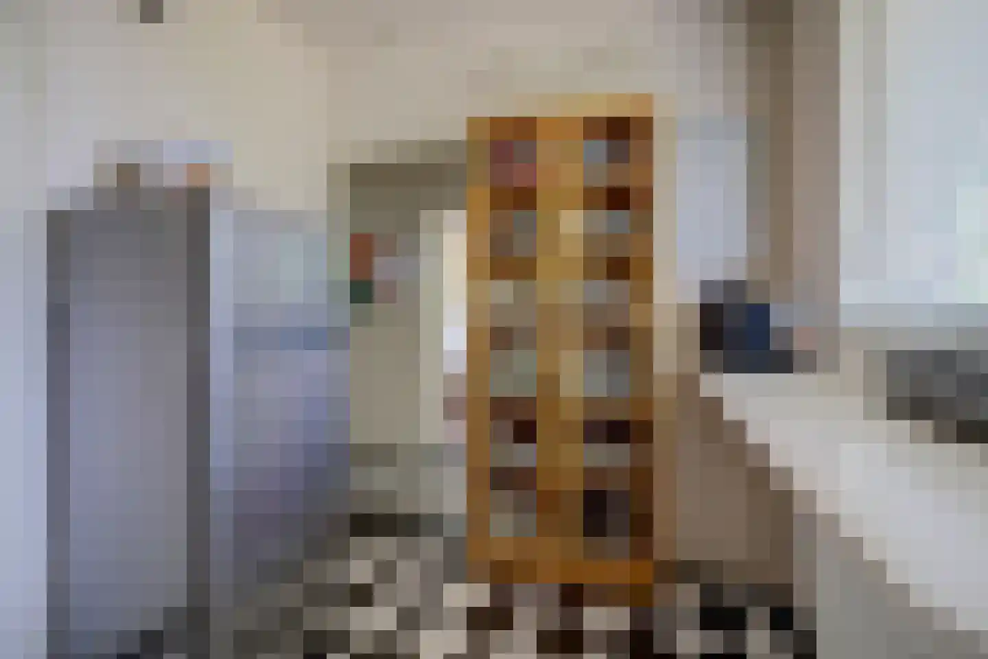 Maassingel 24 's-Hertogenbosch thumbnail 13