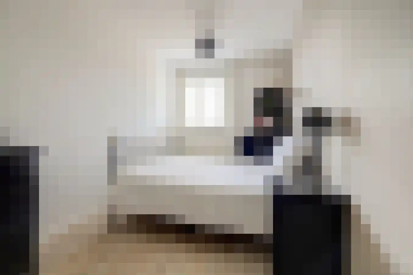 Maassingel 24 's-Hertogenbosch thumbnail 15