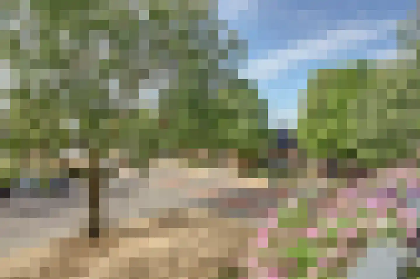 Maassingel 24 's-Hertogenbosch thumbnail 27