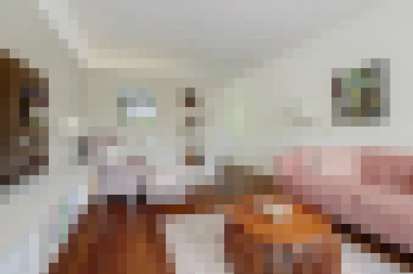 Maassingel 24 's-Hertogenbosch thumbnail 4
