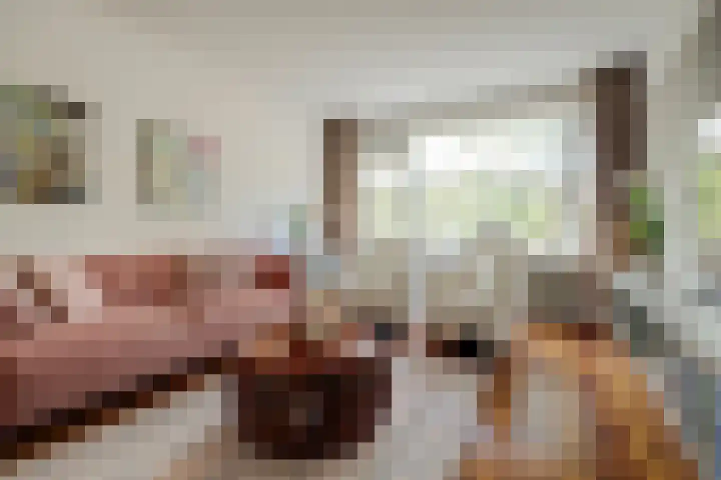 Maassingel 24 's-Hertogenbosch thumbnail 5