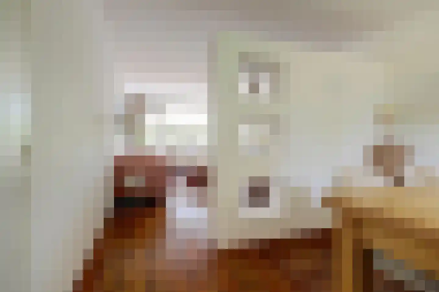 Maassingel 24 's-Hertogenbosch thumbnail 6