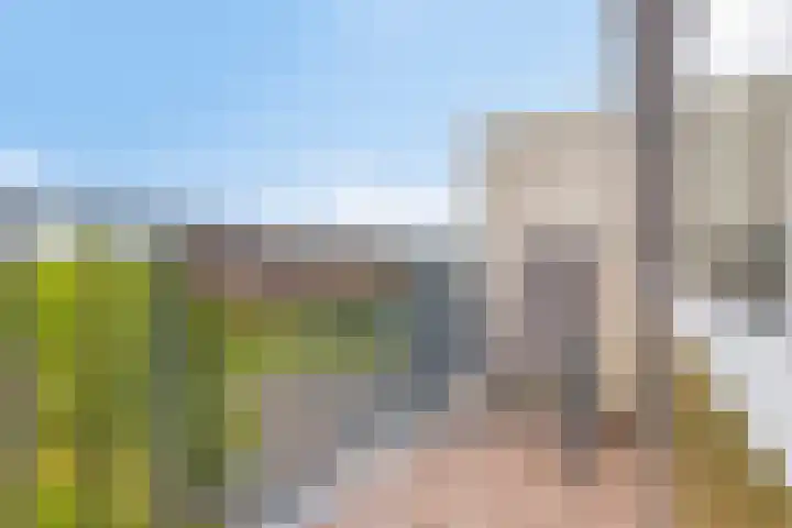 Maassingel 258 's-Hertogenbosch thumbnail 14