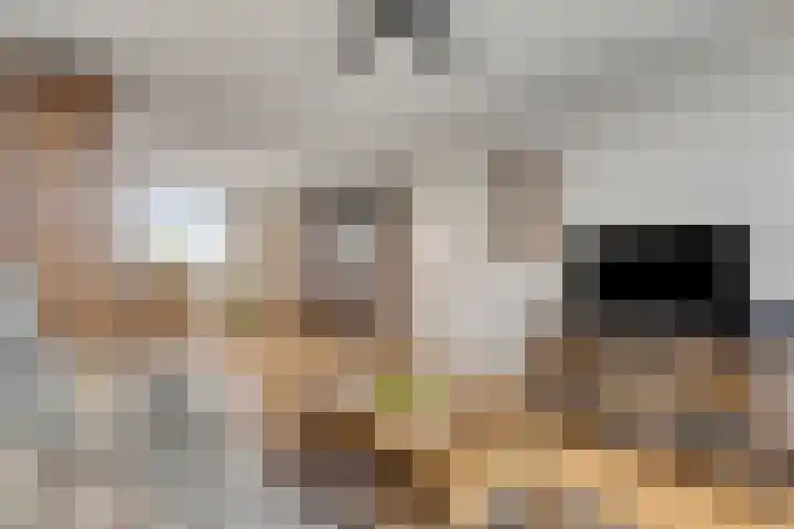 Maassingel 258 's-Hertogenbosch thumbnail 17