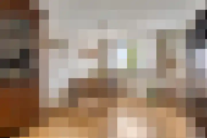 Maassingel 258 's-Hertogenbosch thumbnail 19
