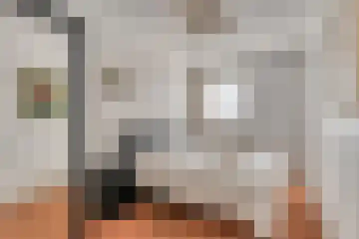 Maassingel 258 's-Hertogenbosch thumbnail 22