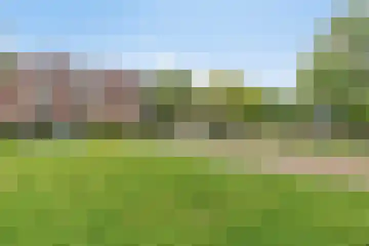 Maassingel 258 's-Hertogenbosch thumbnail 28