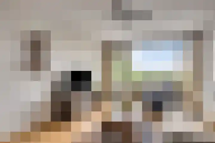 Maassingel 258 's-Hertogenbosch thumbnail 4