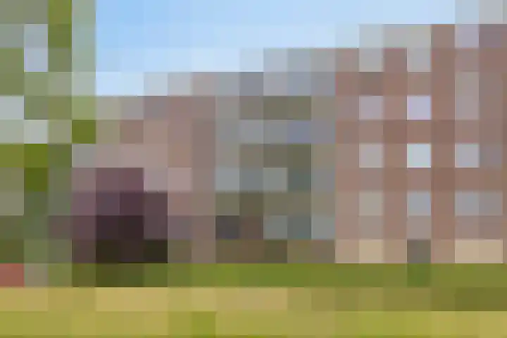 Maassingel 258 's-Hertogenbosch thumbnail 6