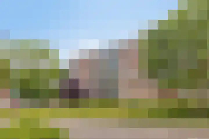 Maassingel 258 's-Hertogenbosch thumbnail 7