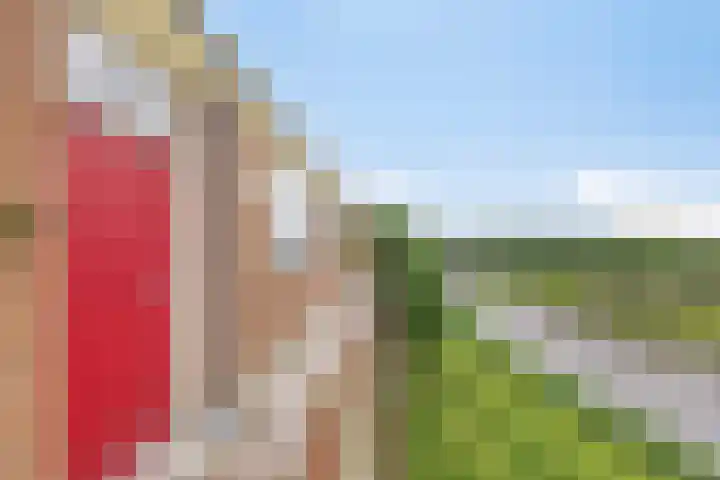 Maassingel 258 's-Hertogenbosch thumbnail 9