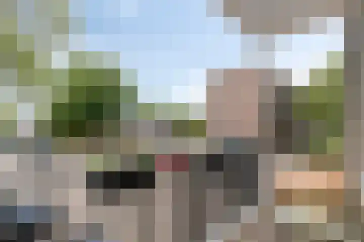 Maassingel 270 's-Hertogenbosch thumbnail 30