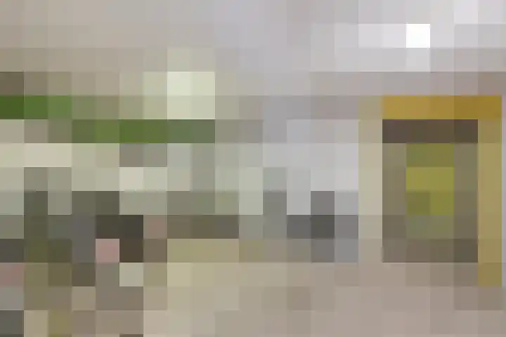 Maassingel 270 's-Hertogenbosch thumbnail 33