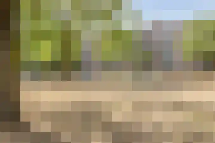 Maassingel 270 's-Hertogenbosch thumbnail 34