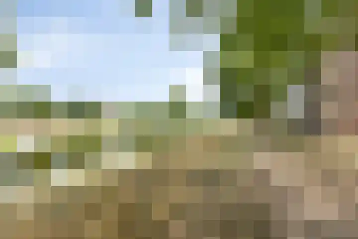 Maassingel 270 's-Hertogenbosch thumbnail 35