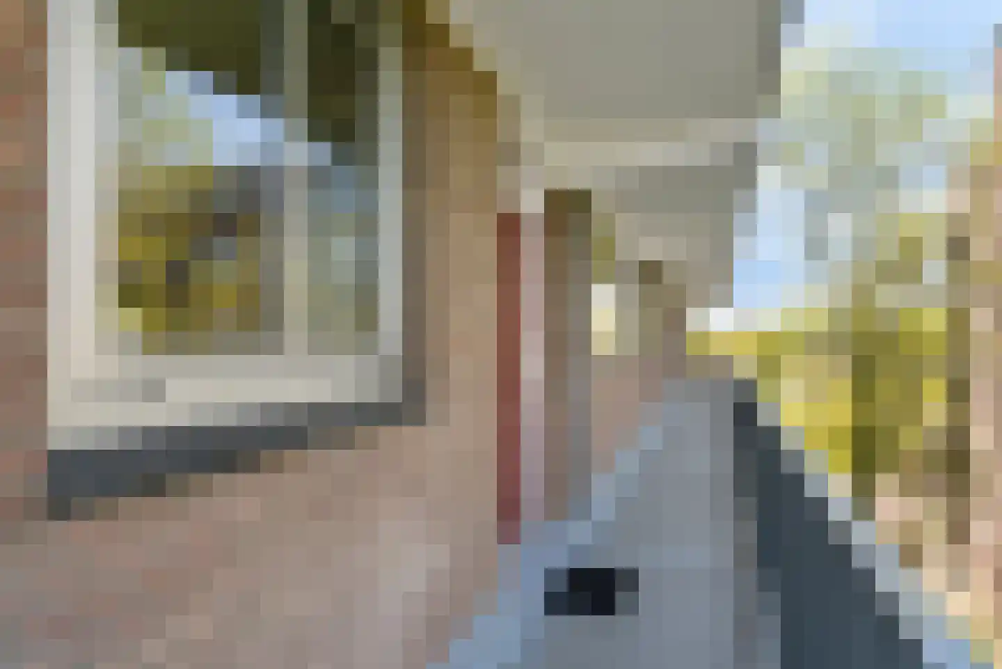 Maassingel 30 's-Hertogenbosch thumbnail 23